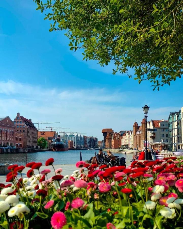 Gdansk Centrum - Apartament 3 - Pokojowy Z Duzym Tarasem Eksteriør billede